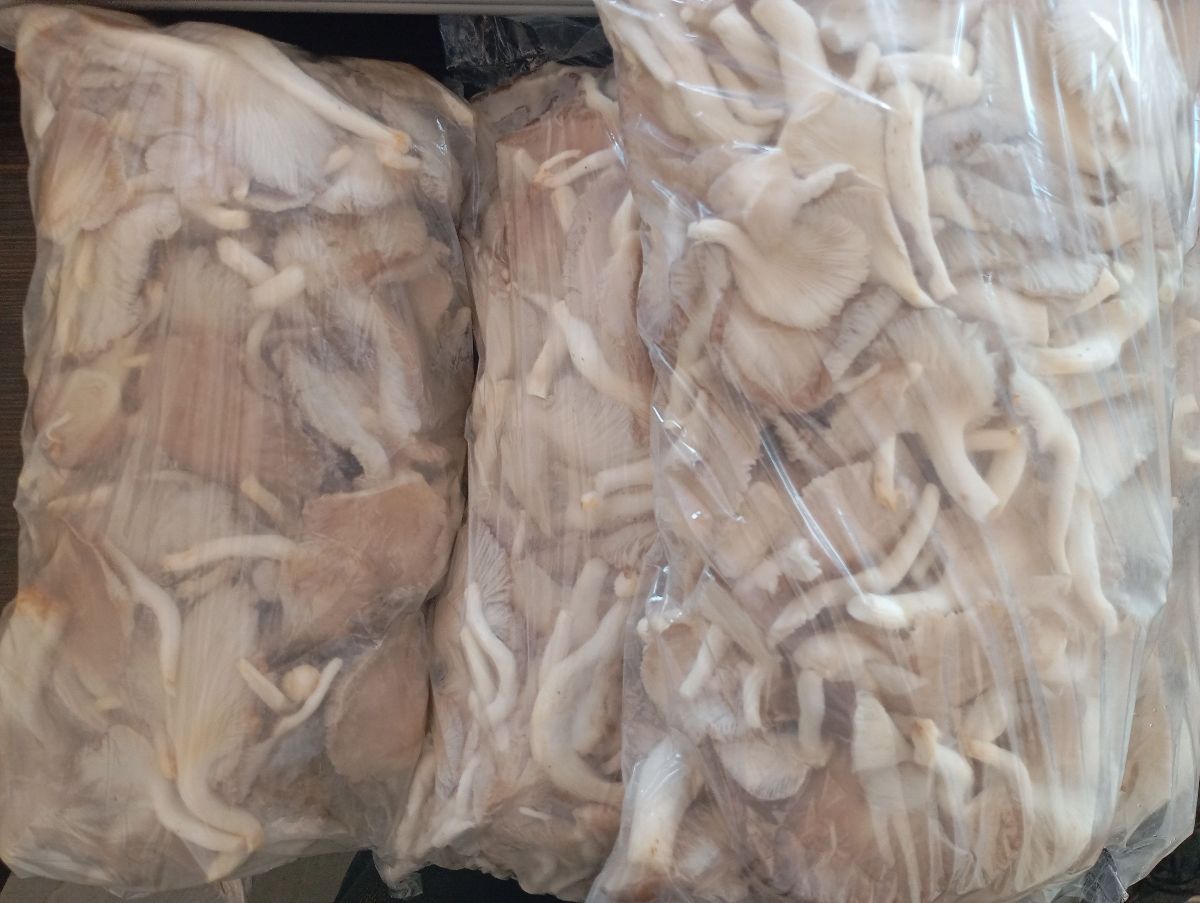 Champignons frais et séché en vente - photo 2