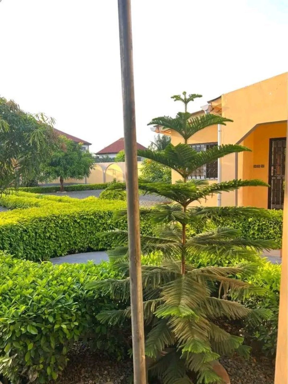 Villa splendide avec jardin en vente à Adidogome