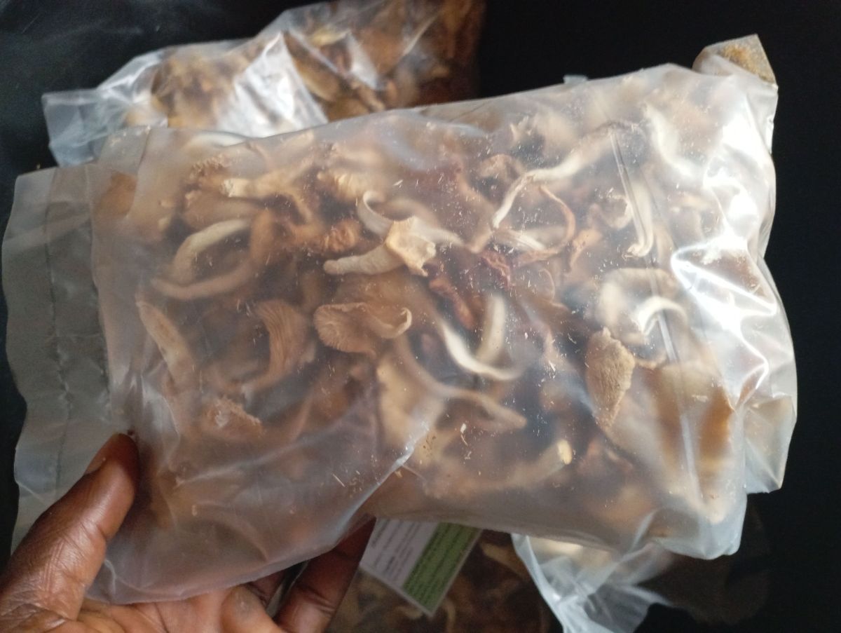 Champignon Sèché - photo 2