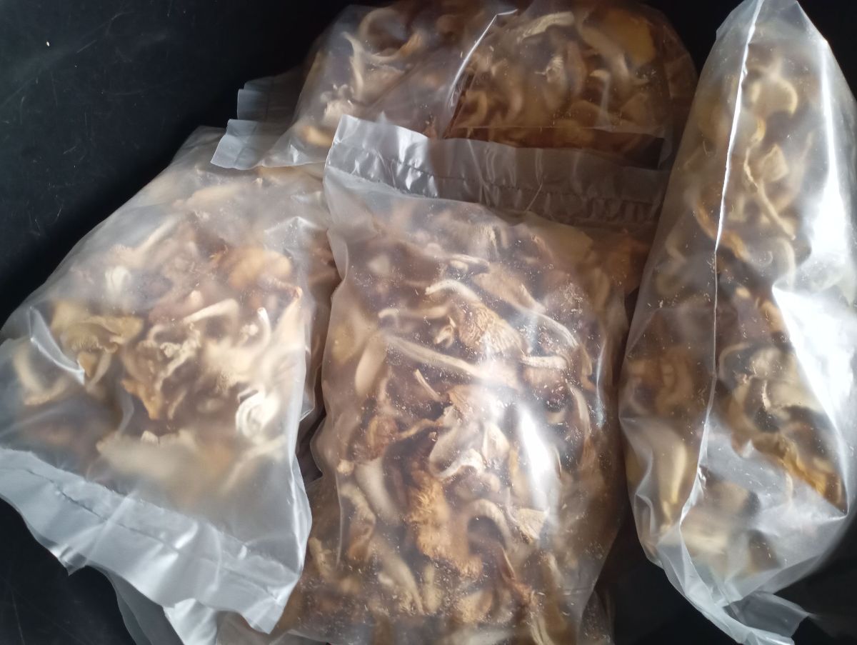 Champignon Sèché