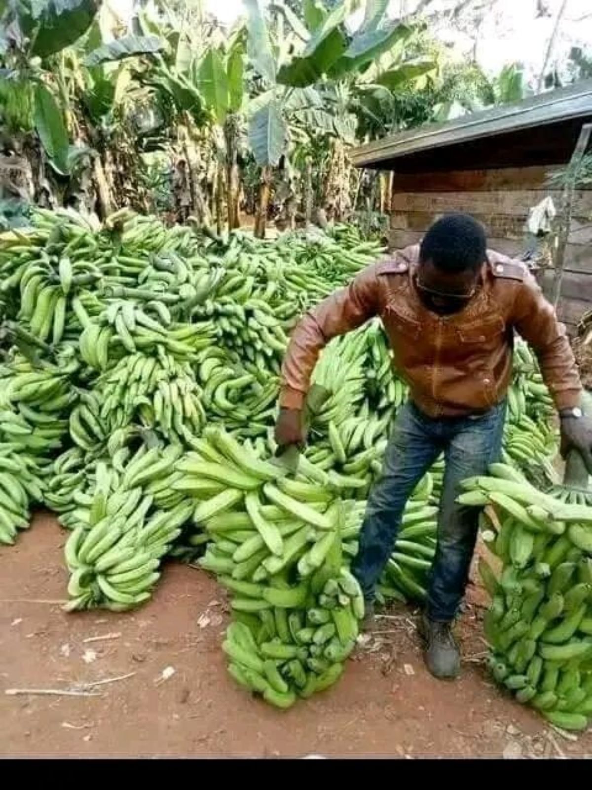 Bananes plantain et poivre noir