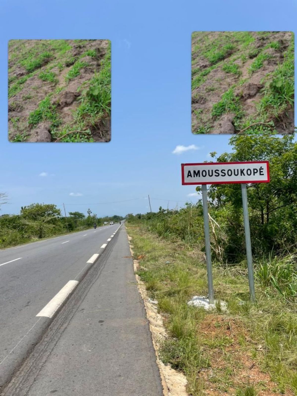 TERRAIN AGRICOLE EN FINANCEMENT