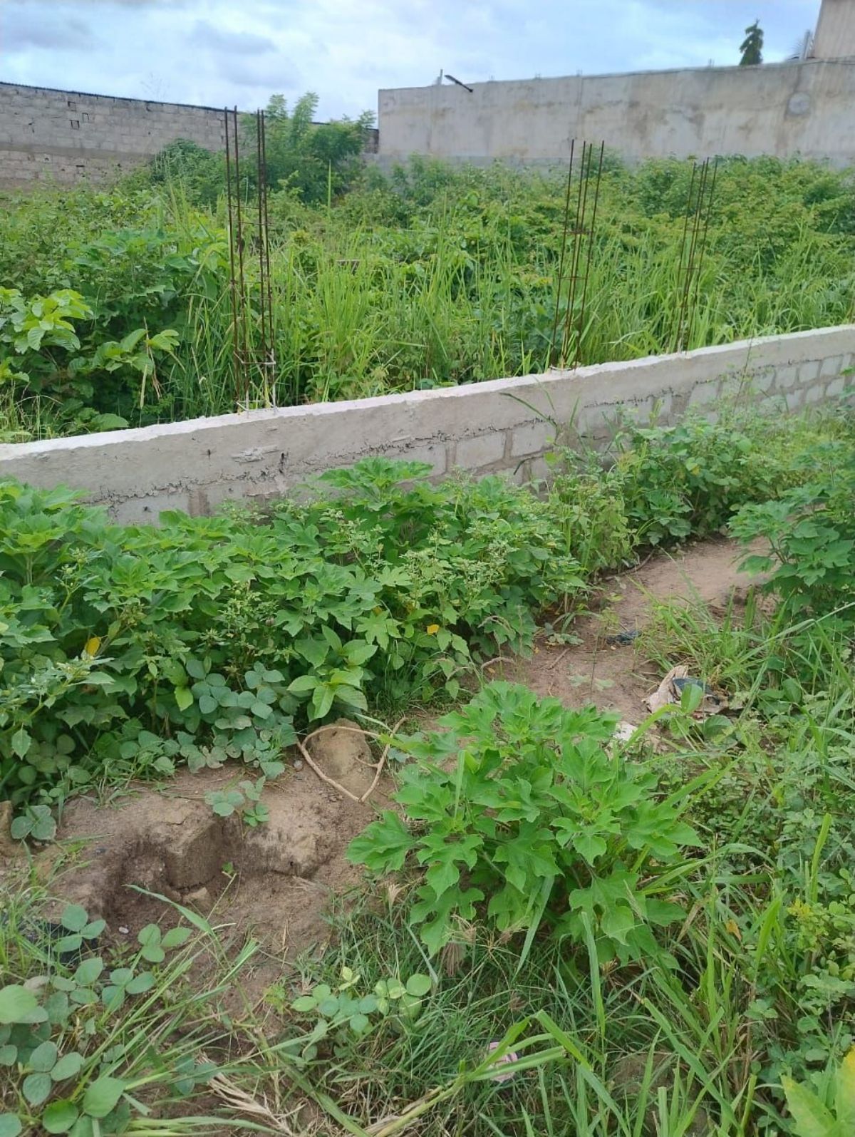 TERRAIN A VENDRE : Prix : 9 millions