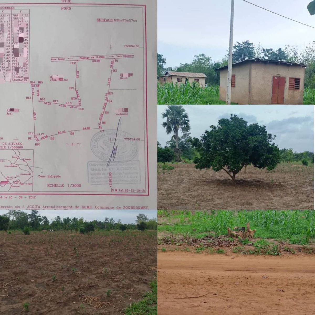 TERRAIN SIS À DOMÈ DANS ZOGBODOMEY À VENDRE.