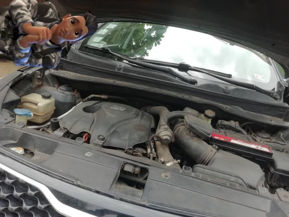 KIA SPORTAGE - photo 3