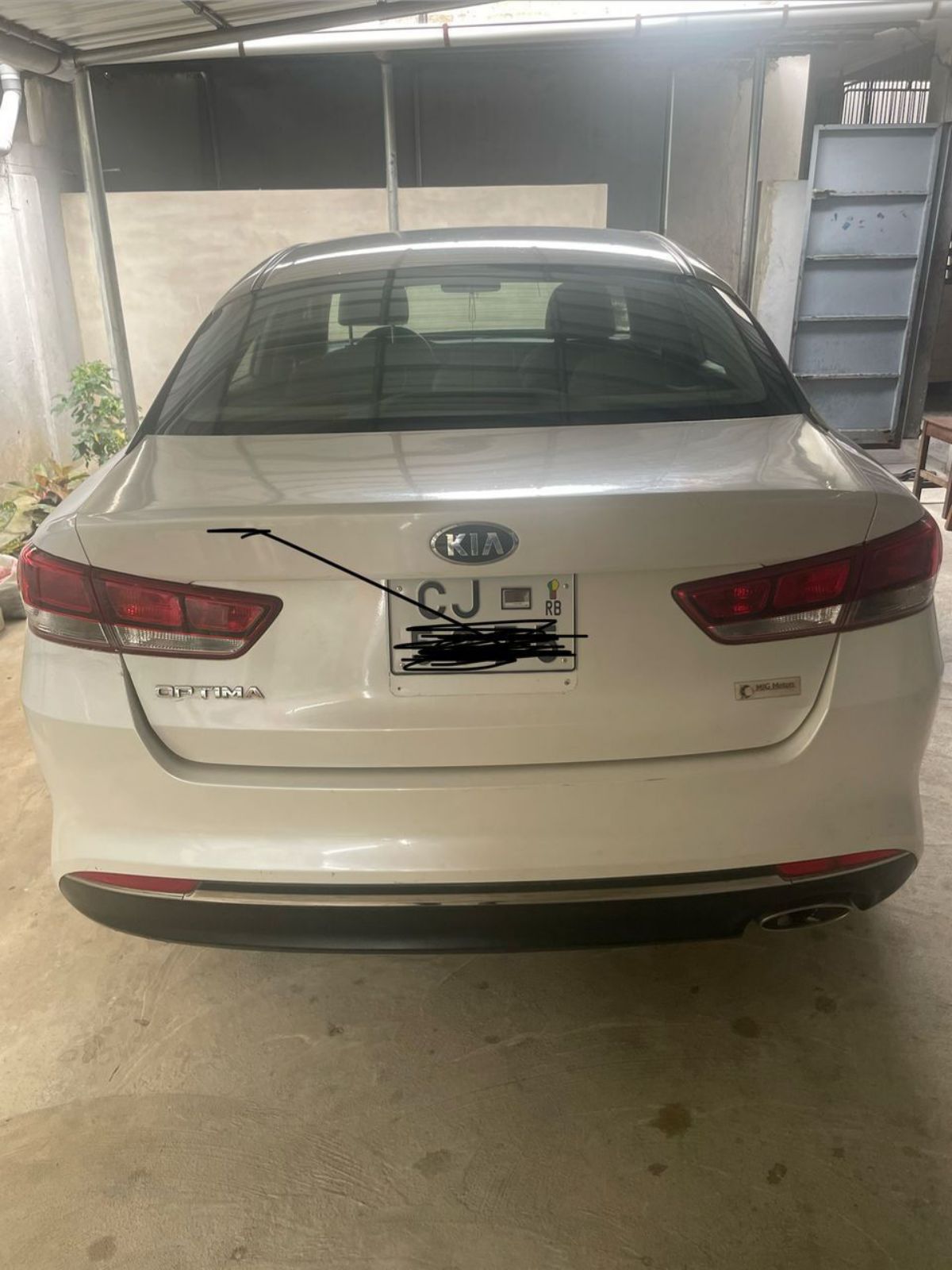 Kya optima - photo 3
