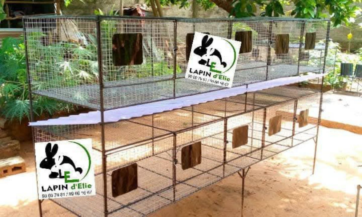 Cage d&rsquo;élevage