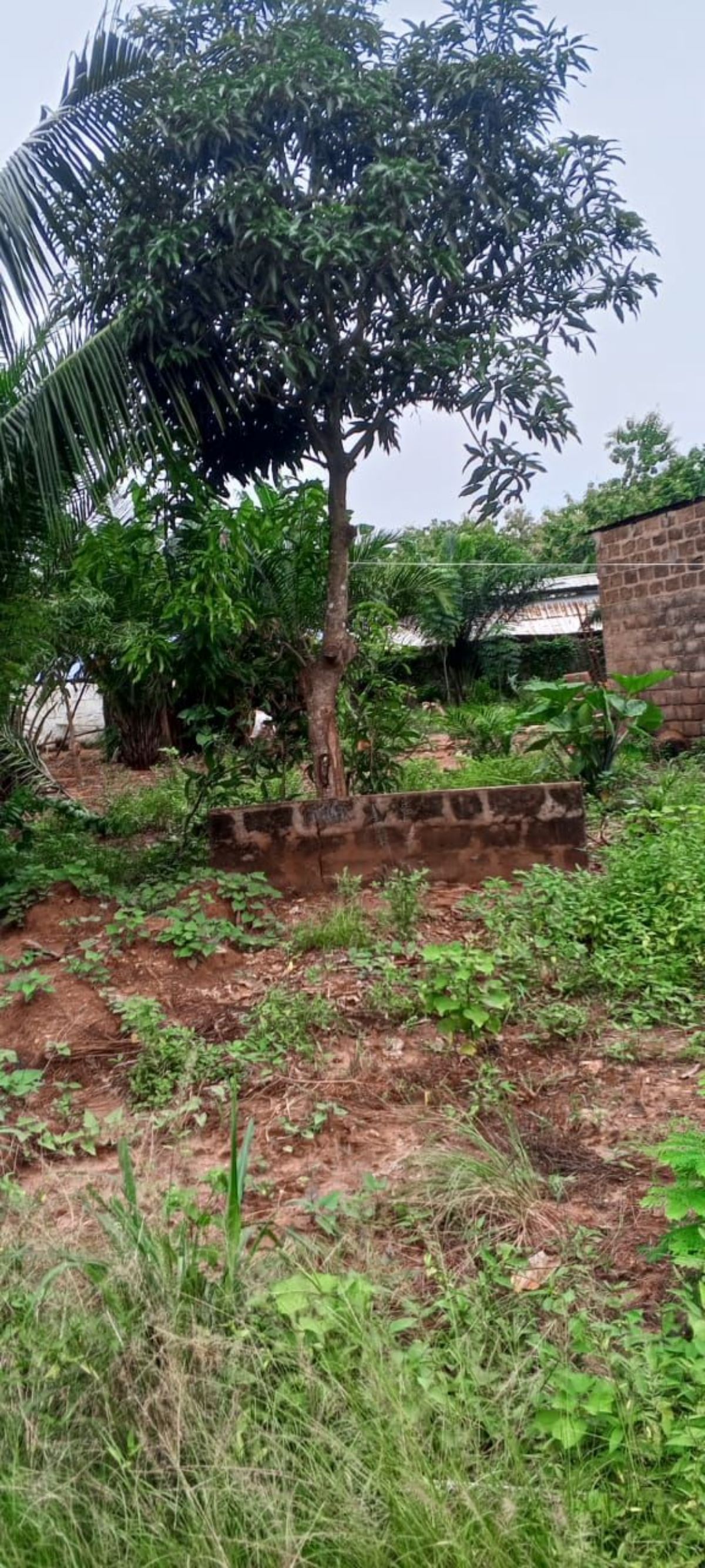 Terrain en vente a Lomé davié CEB