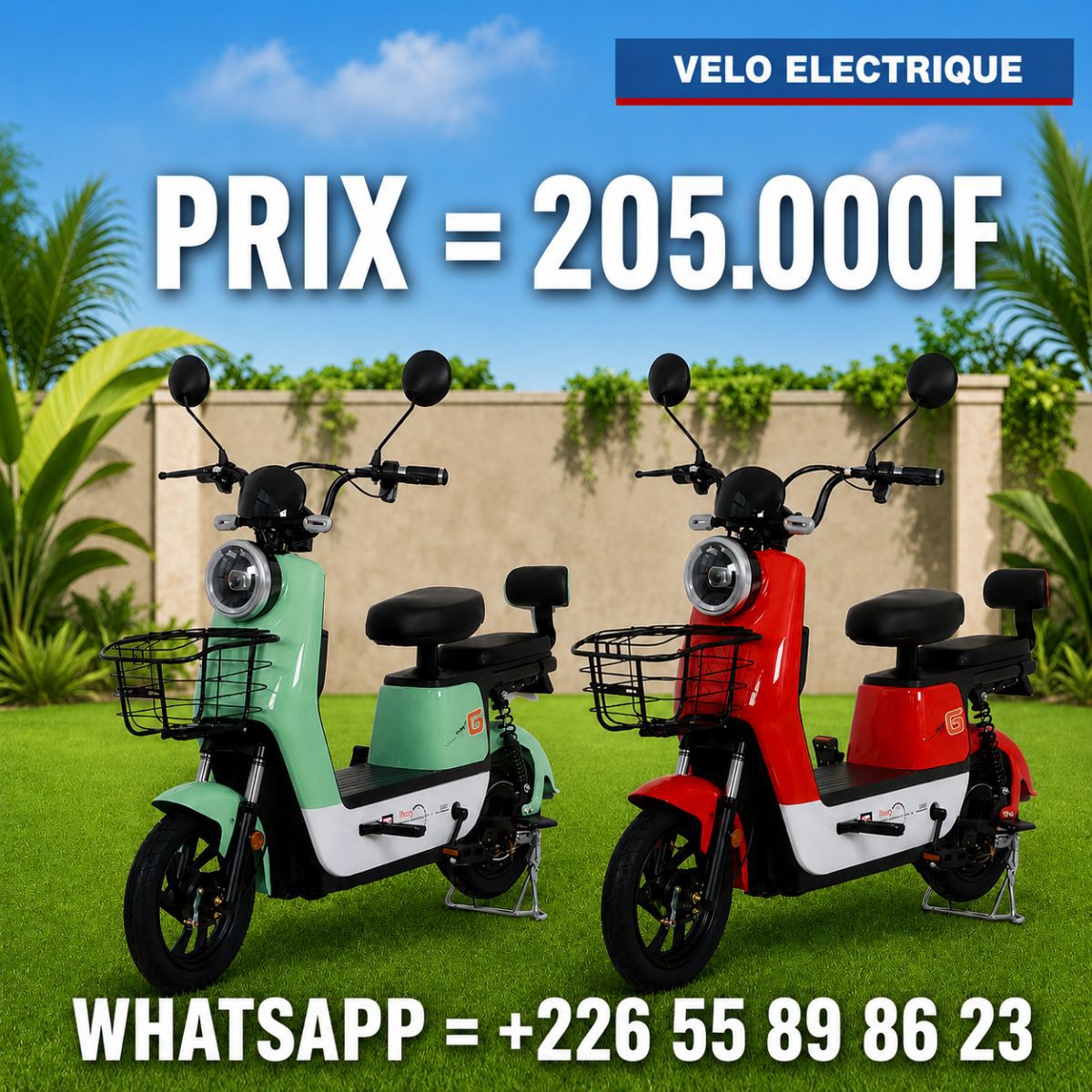 VÉLO MOTEUR ÉLECTRIQUE RECHARGEABLE