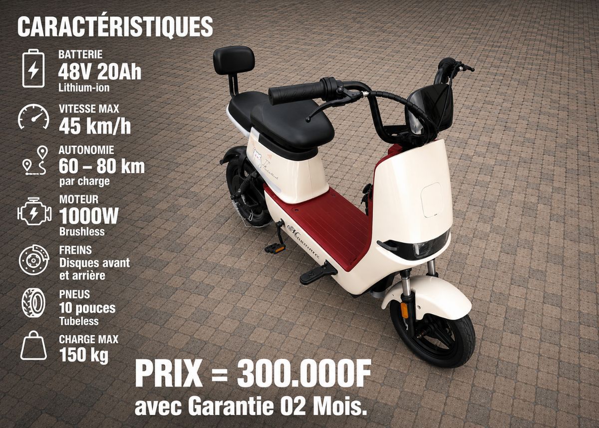 MINI SCOOTER ÉLECTRIQUE RECHARGEABLE