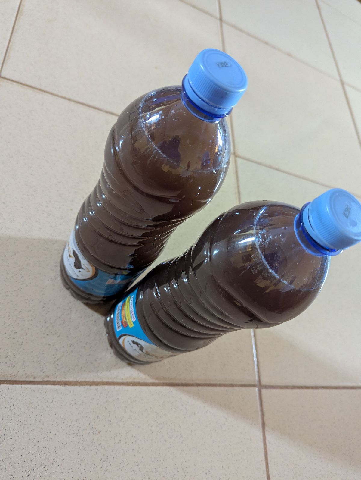 Kombucha, jus naturel à base de Champignon - photo 2