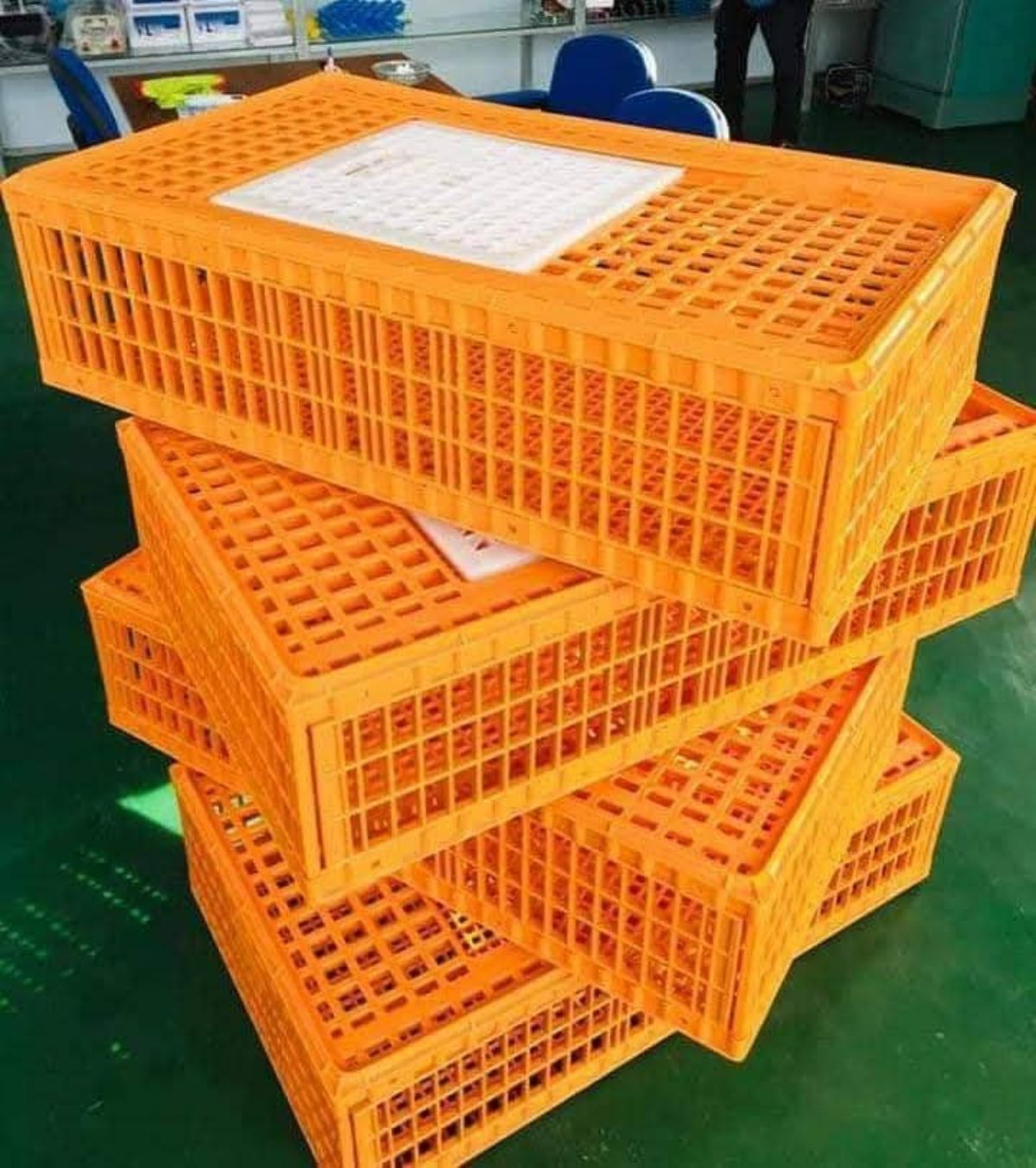 Caisse de transport pour poulets - photo 3