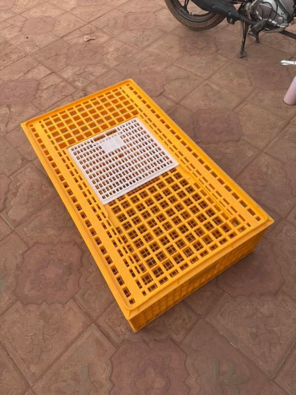 Caisse de transport pour poulets - photo 2