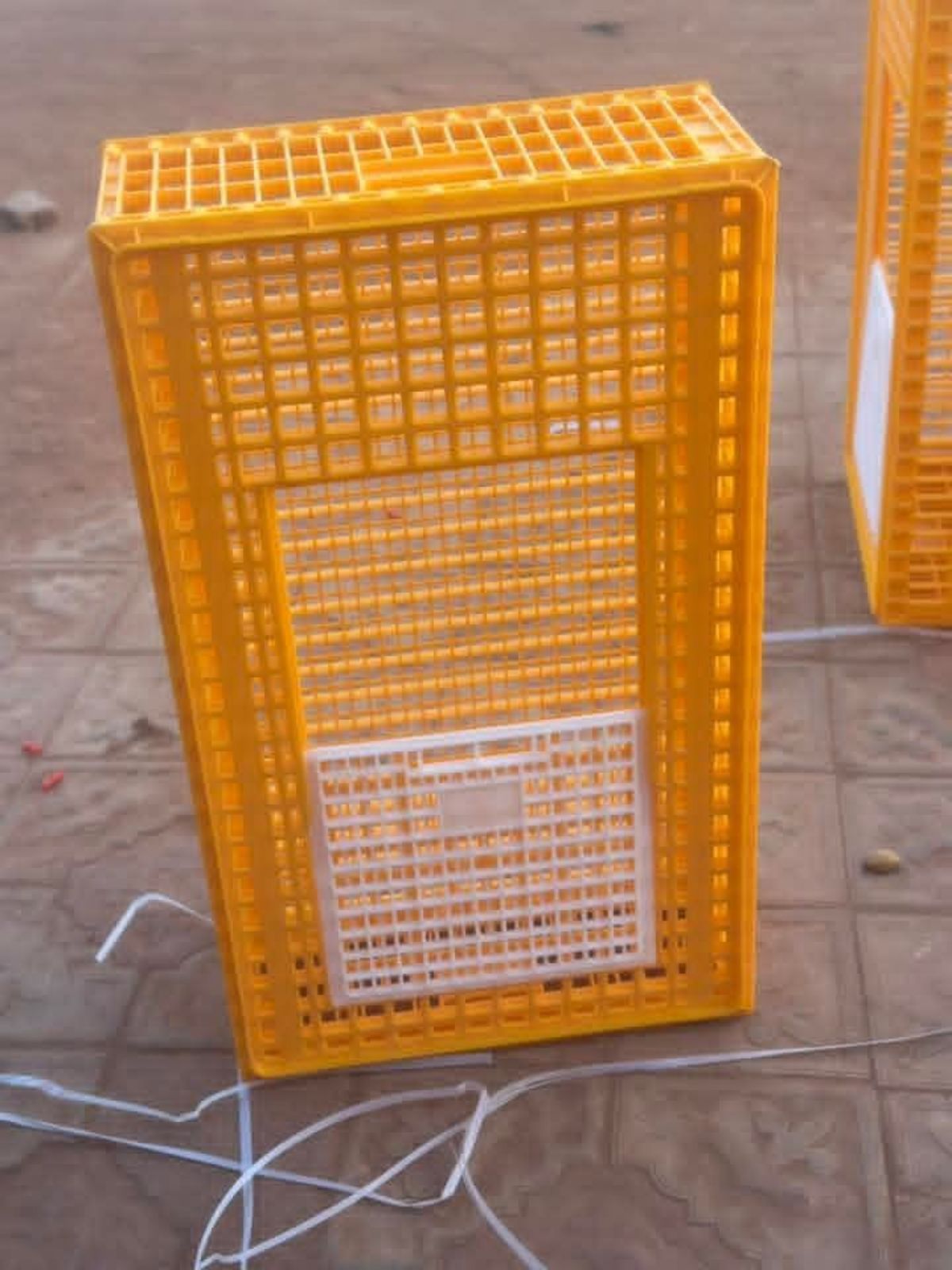 Caisse de transport pour poulets