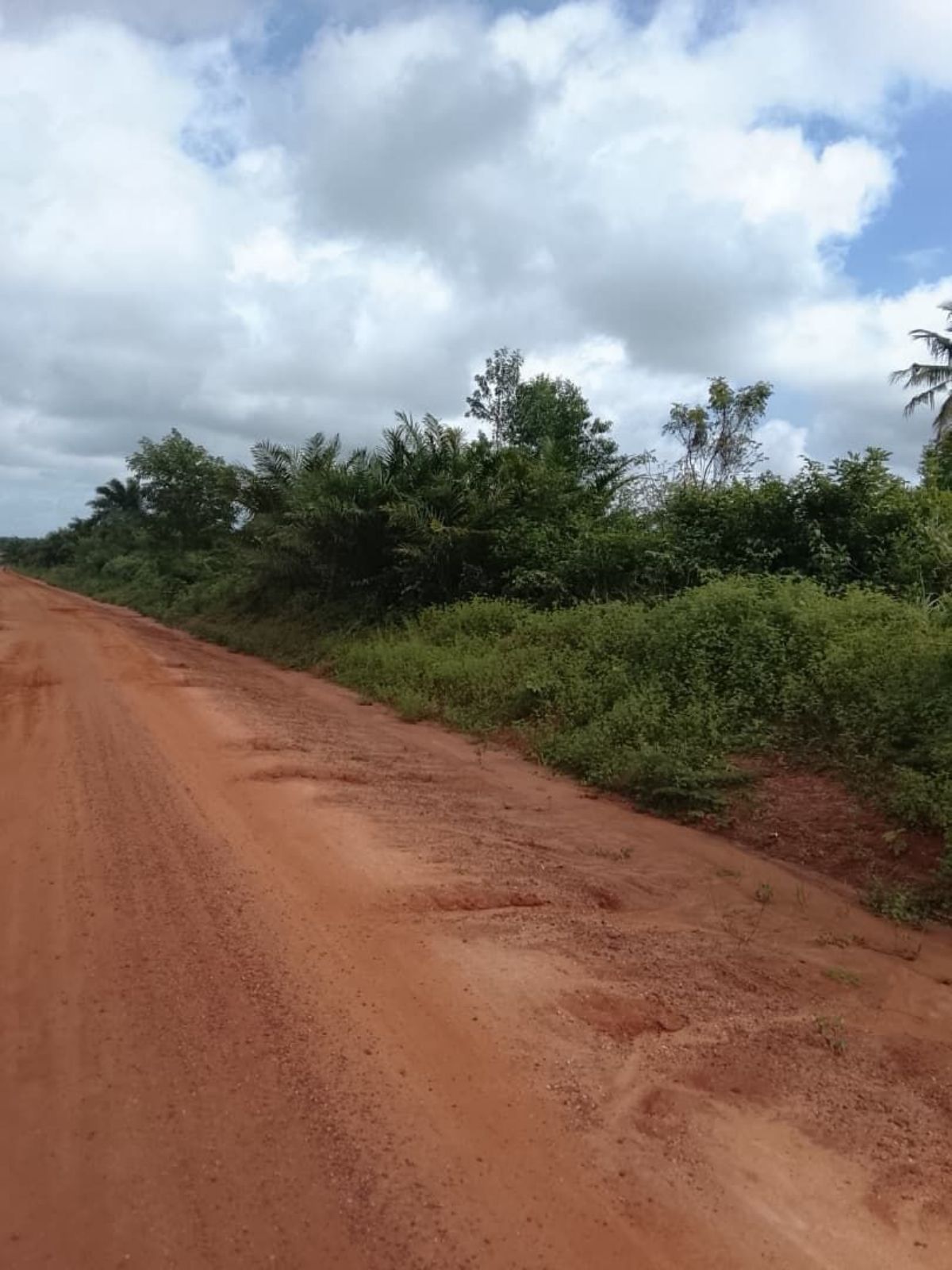 HECTARES AGRICOLES À OUIDAH - photo 3