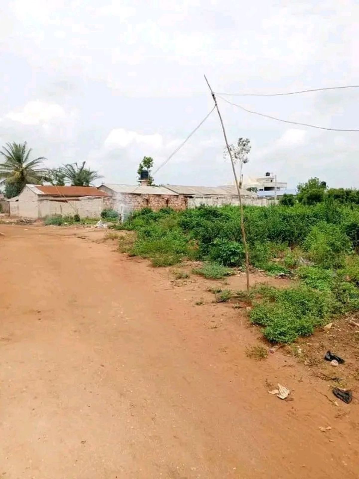 PARCELLES SUR TITRE FONCIER À AKASSATO - photo 2