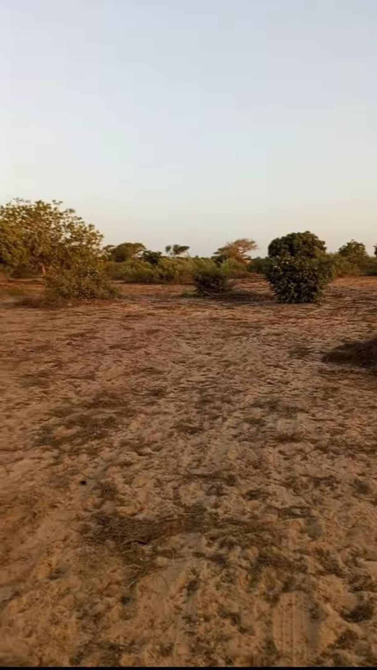 Terres Agricoles à louer
