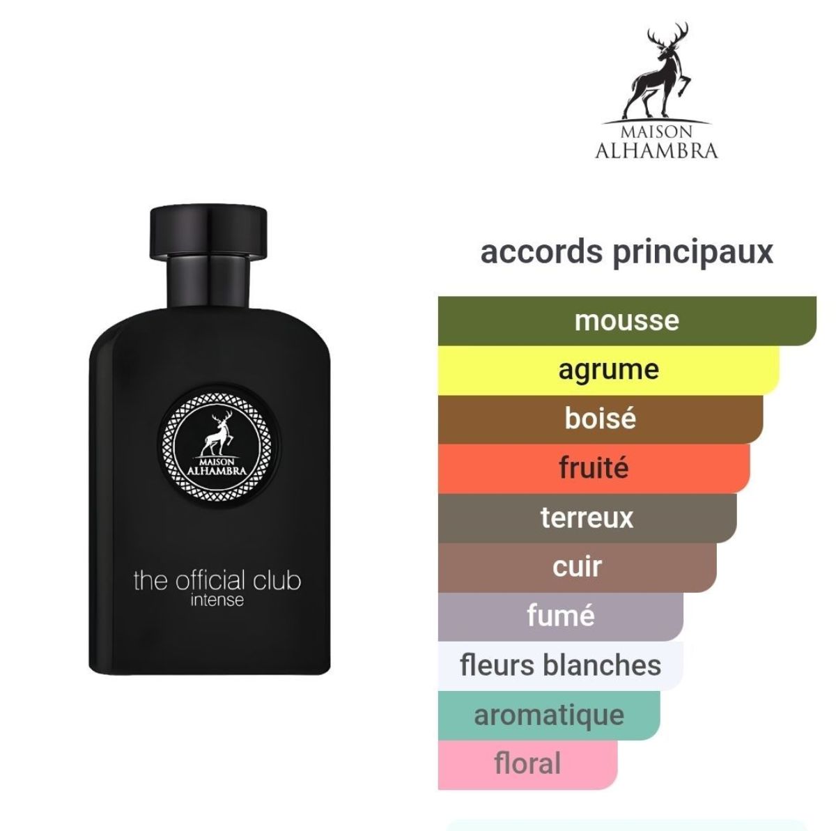 Parfum THE OFFICIAL CLUB