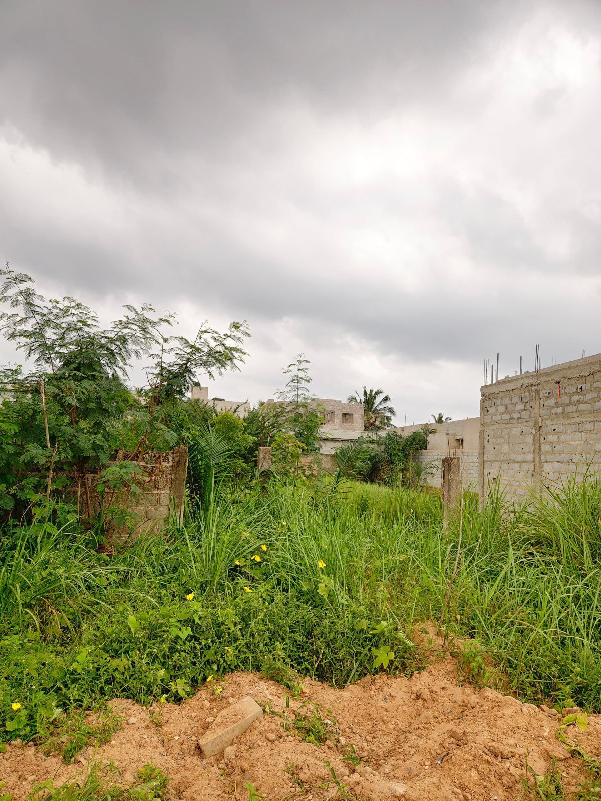 Terrain a vendre - photo 2