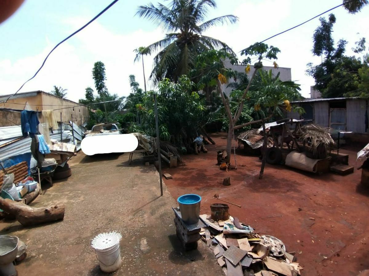 Vente de terrain clôturé avec TF à agoè assiyéyé - photo 2