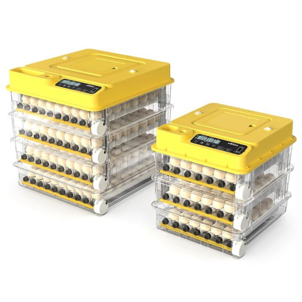 Incubateur électrique automatique
