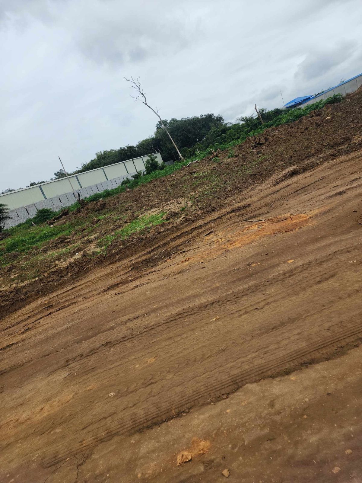 Parcelle 3 hectares autoroute du nord pk 21