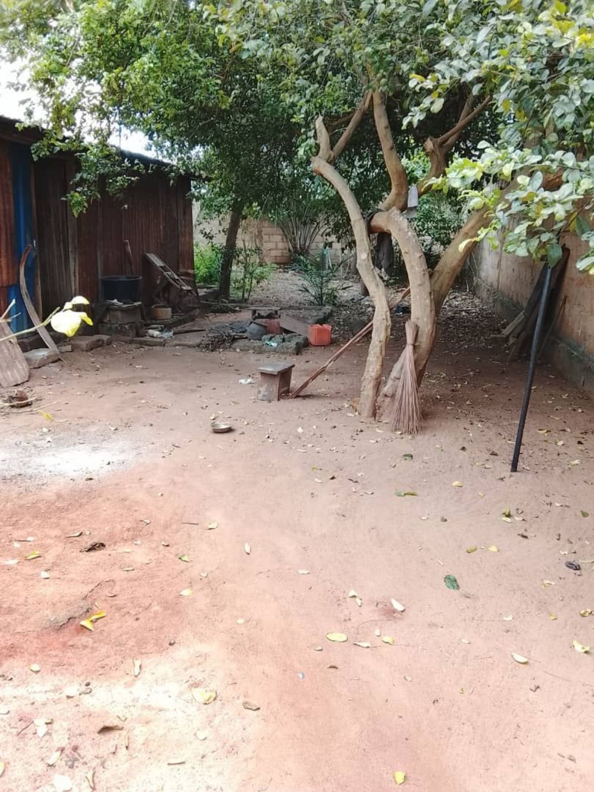 En vente demi Lot bien clôturé Avedji - photo 3