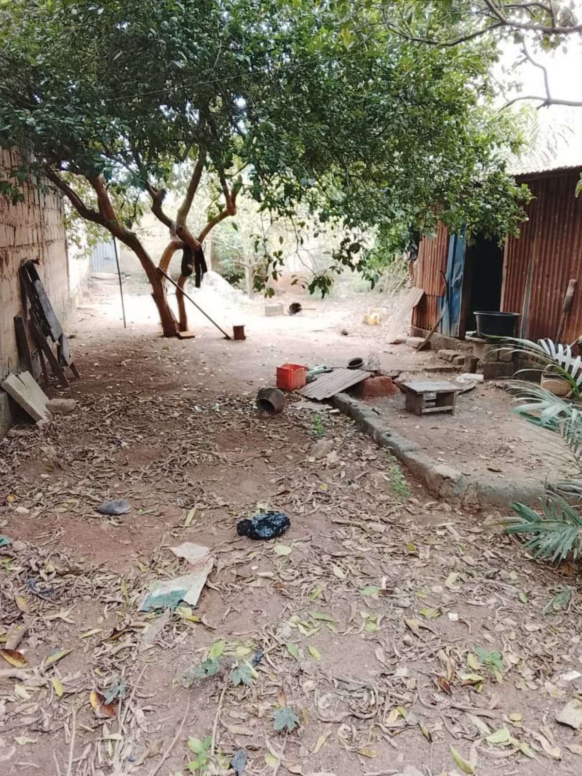 En vente demi Lot bien clôturé Avedji - photo 2