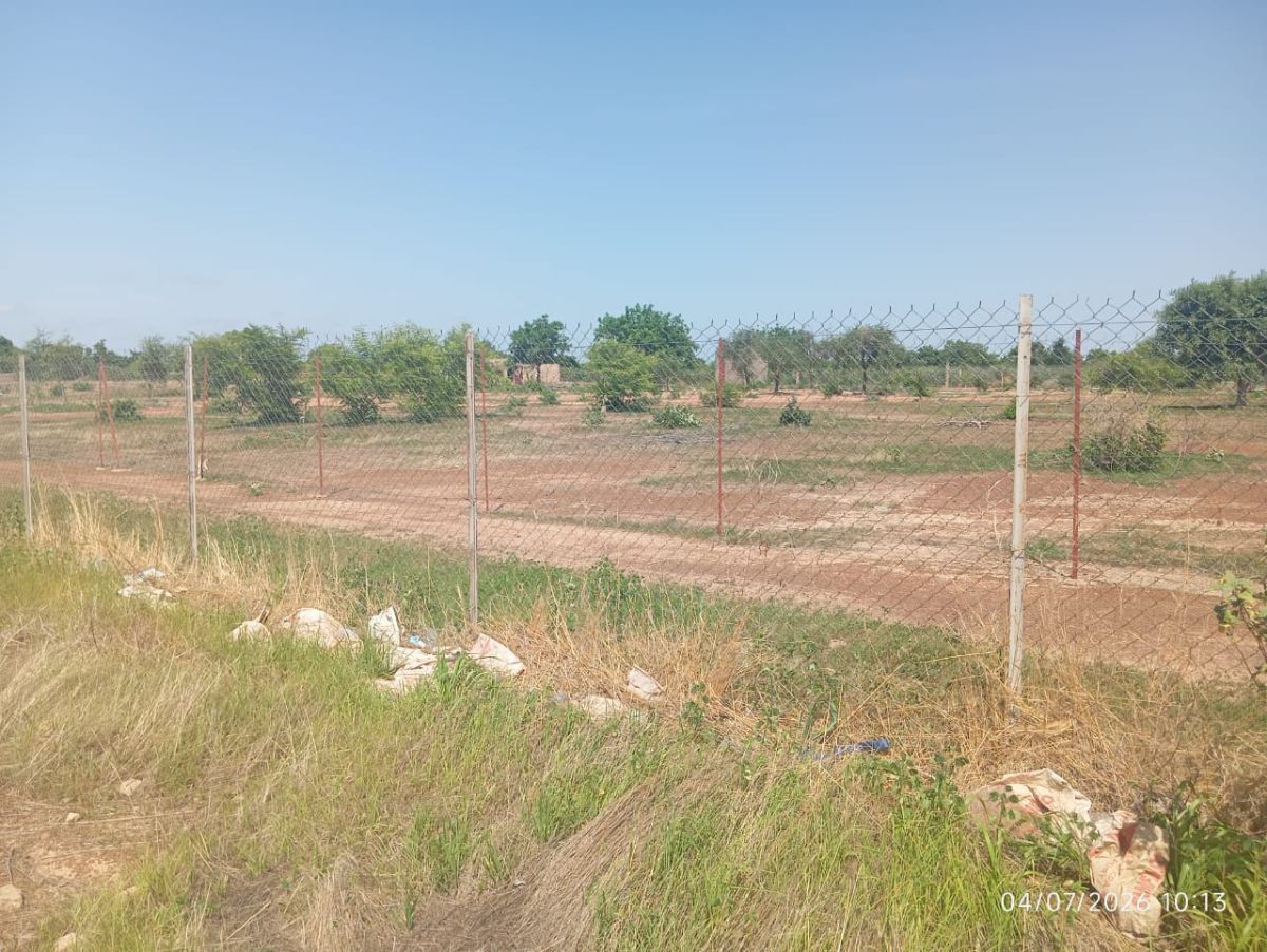 Terrain agro-pastoral 1 Ha – Tanvi (Koubri) - photo 3