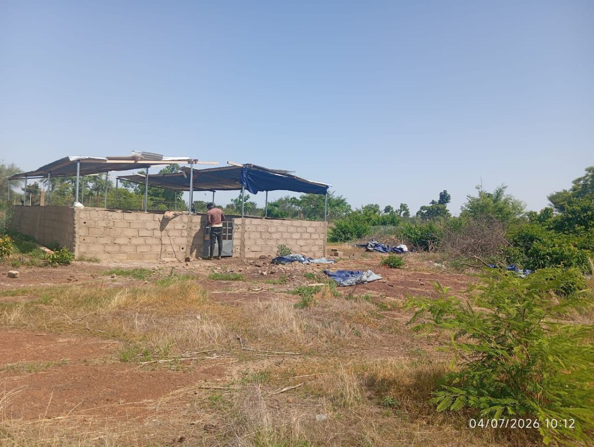 Terrain agro-pastoral 1 Ha – Tanvi (Koubri) - photo 2