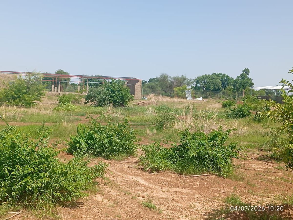 Terrain agro-pastoral 1 Ha – Tanvi (Koubri)