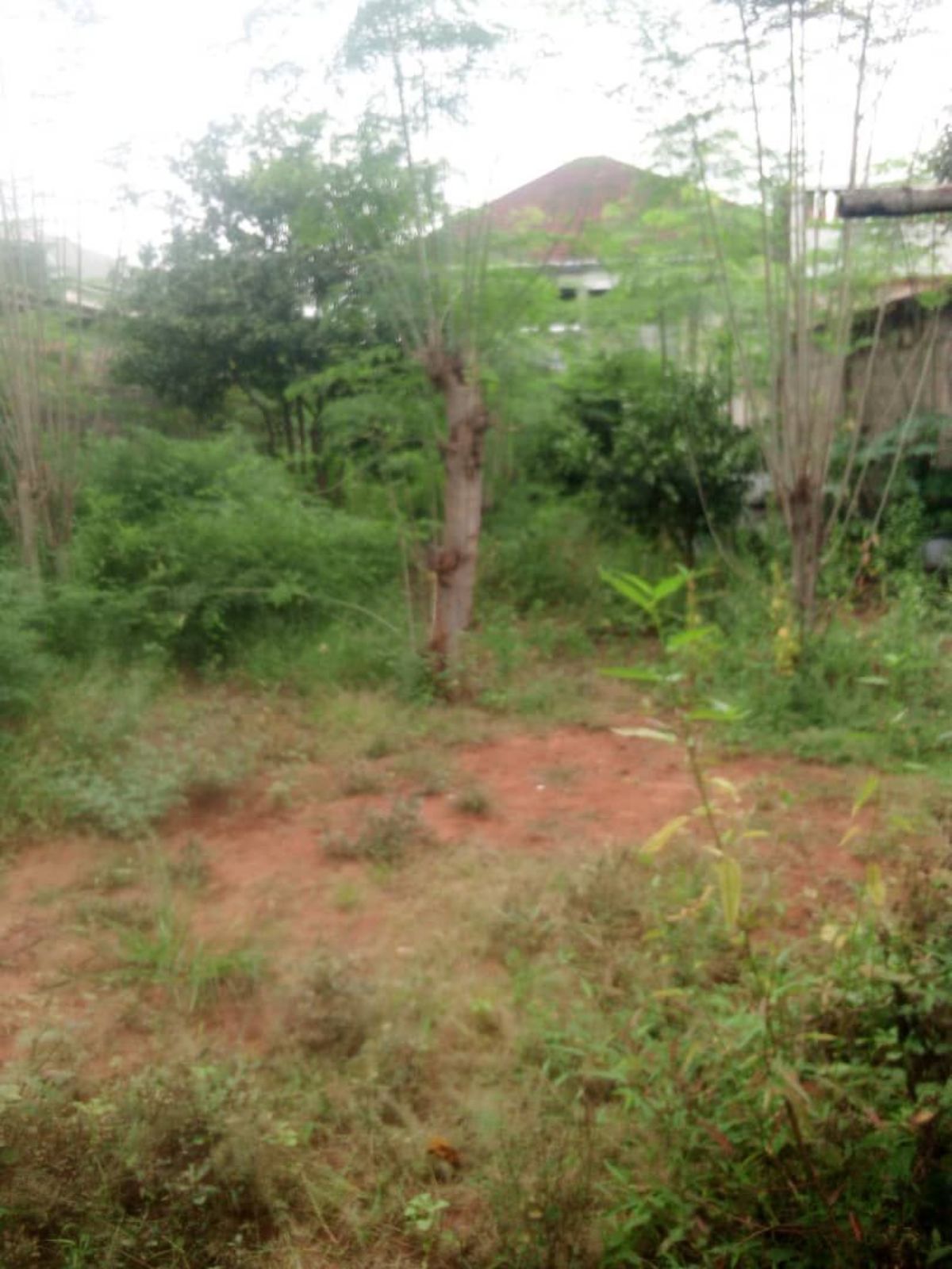 Terrain 1/2 lots Agoe koffi panou 100 m goudron - photo 3