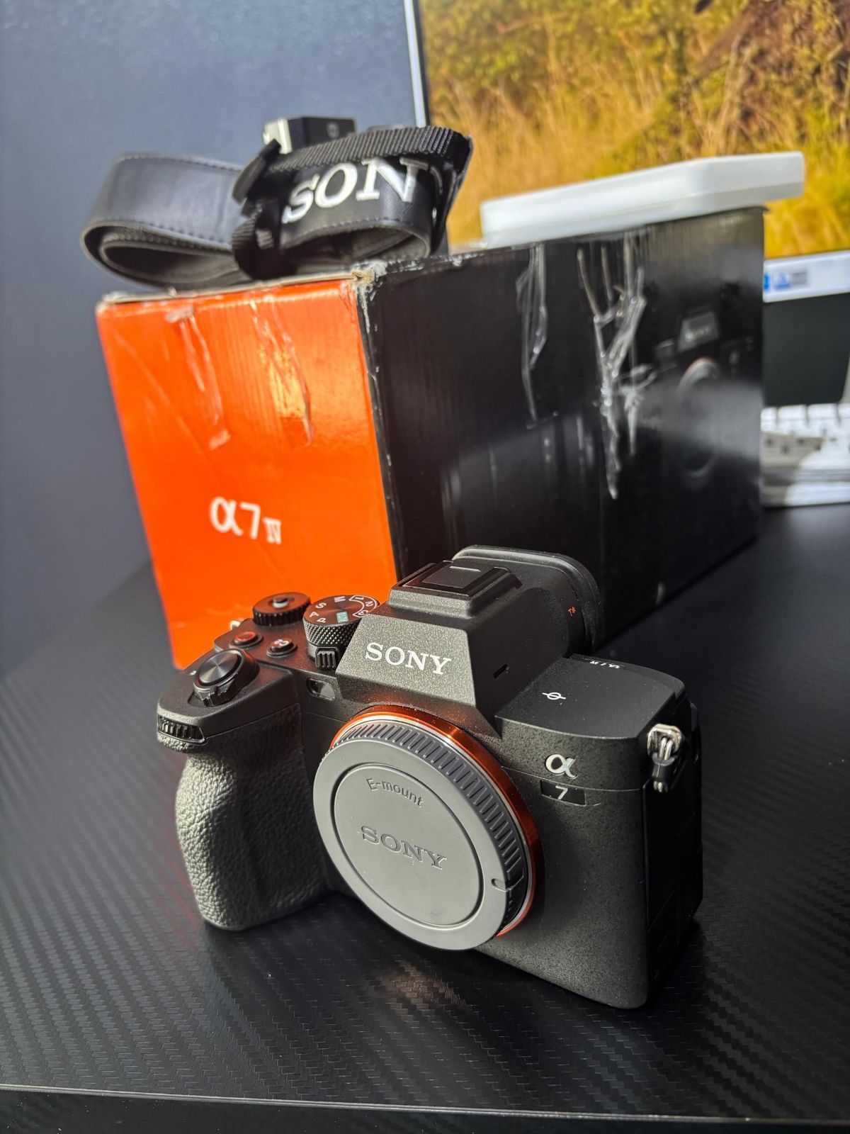 SONY ALPHA A7 IV