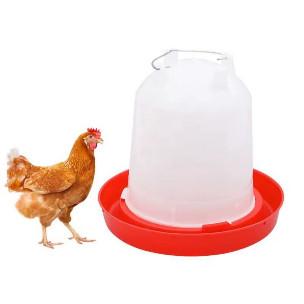 Promo Abreuvoir 11 litres - photo 3