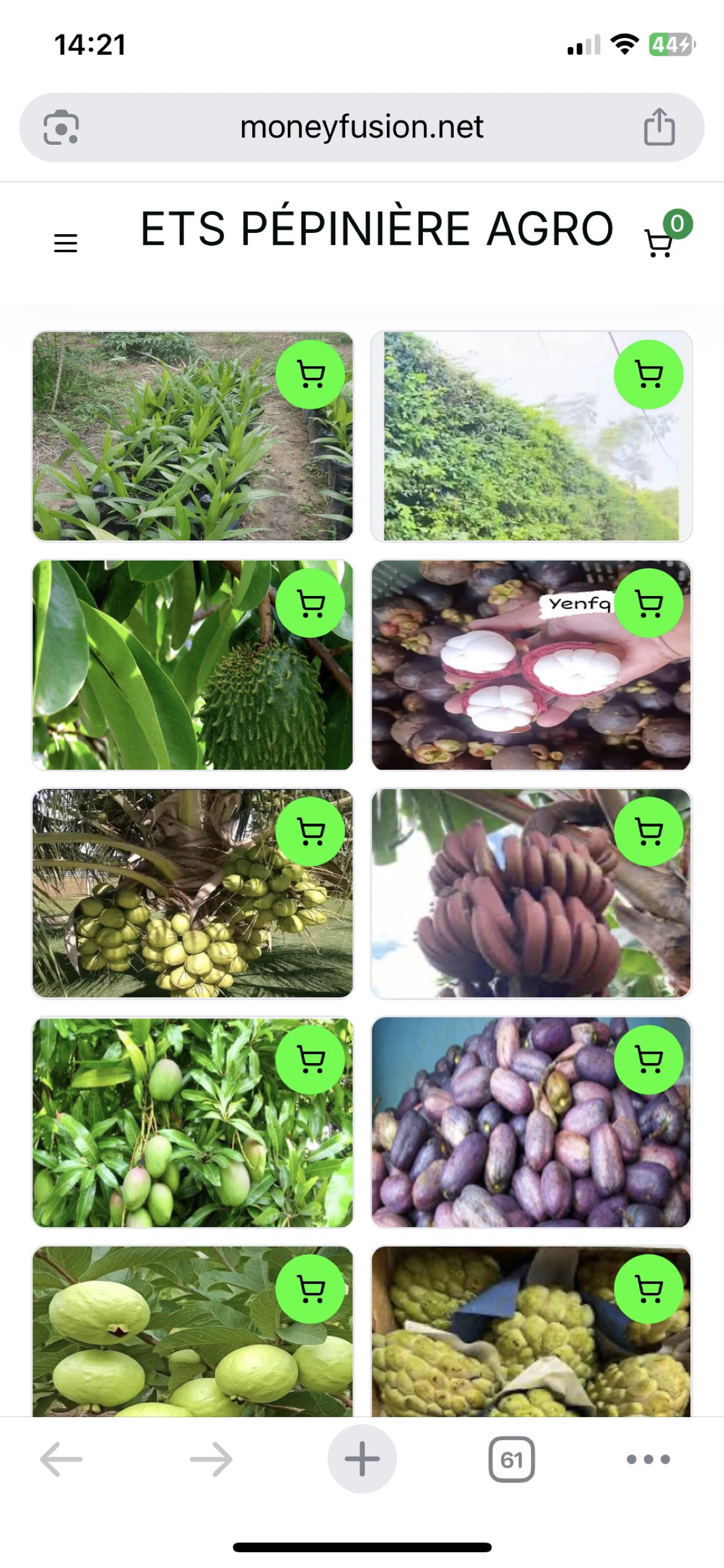 PÉPINIÈRE D’ARBRES FRUITIERS EN VENTE - photo 3