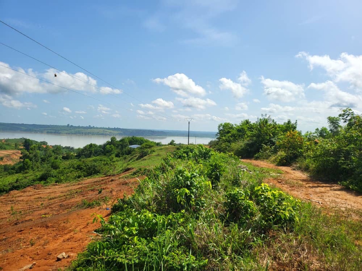 Vente de terrain à adjin Bingerville - photo 3