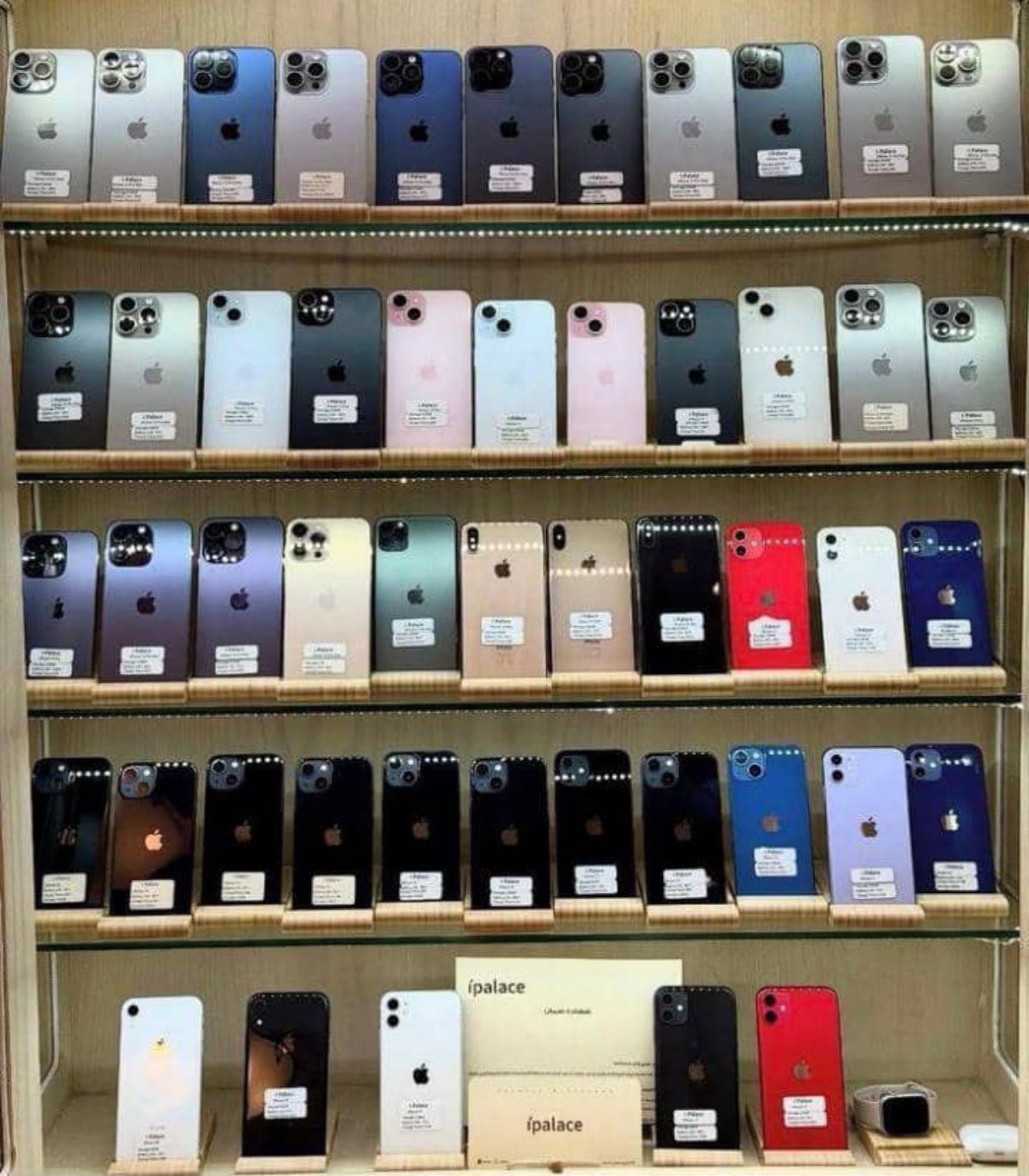 iPhone 12 13 14 - photo 3