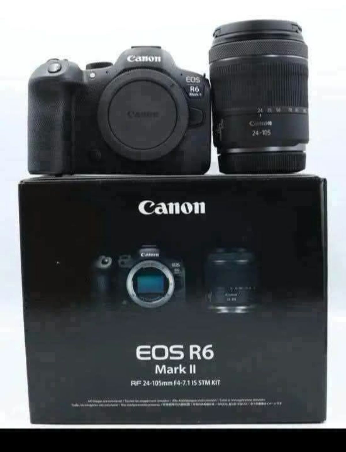 Canon EOS R6 MARK II+ Canon RF 24-105mm F4-7.1 ST - photo 2