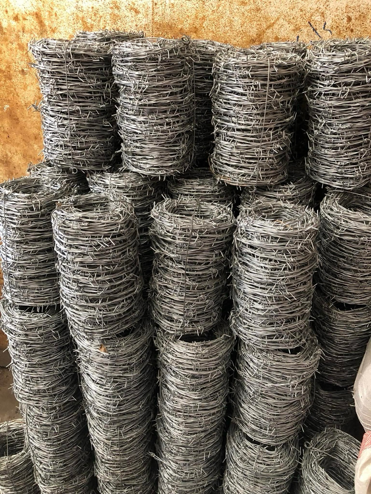 Barbelé piquant - photo 3