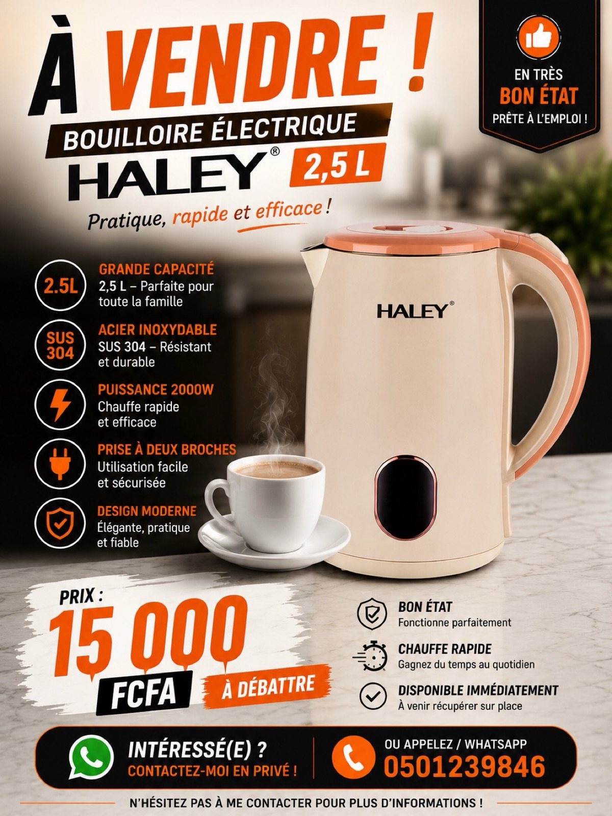 BOUILLOIRE ÉLECTRIQUE HALEY – 2,5 L 🔥