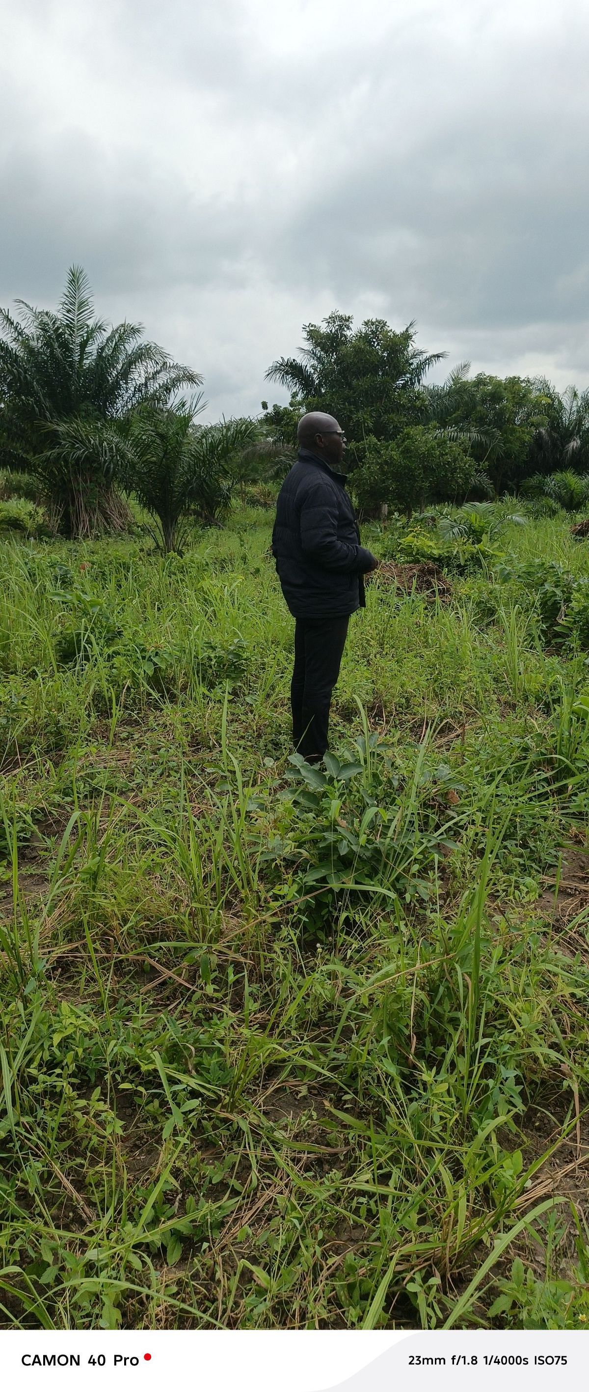 TERRAINS AGRICOLES EN VENTE