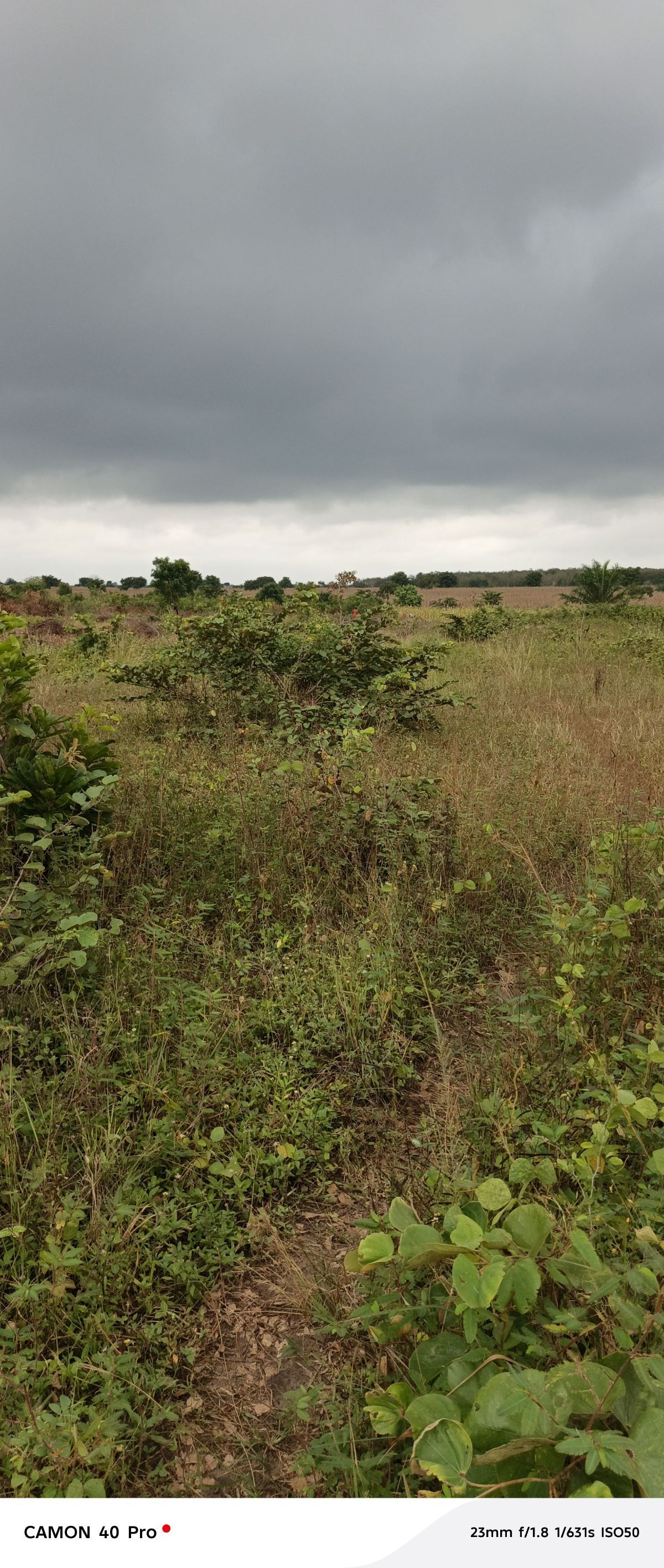 200 HECTARES À VENDRE À KATI - photo 3