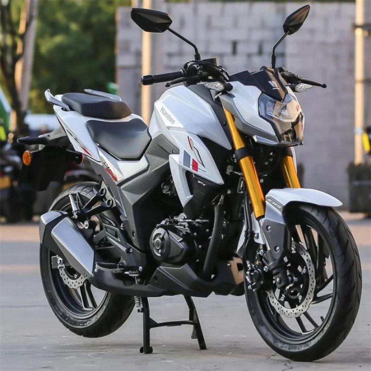 MOTO HAOJUE DR150 ET DR300 NEUF - photo 2