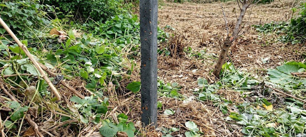 Vente terrain 400 m² paiement échelonné sur 6mois - photo 2