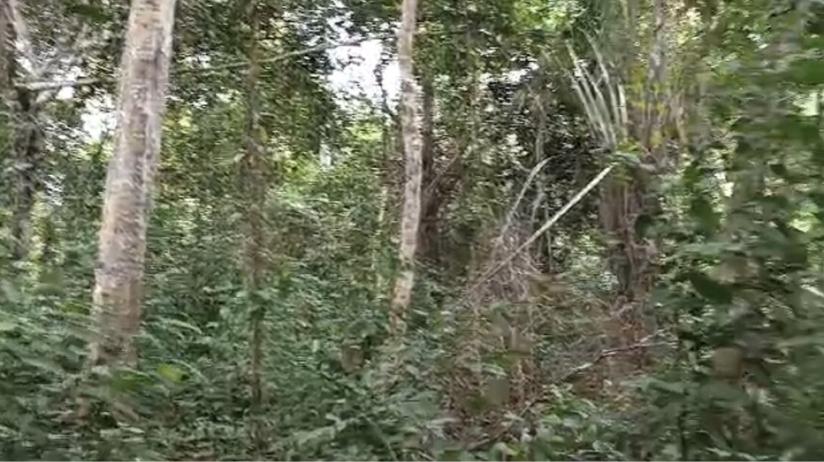 7 hectares de parcelle à Donkoi en Vente - photo 2