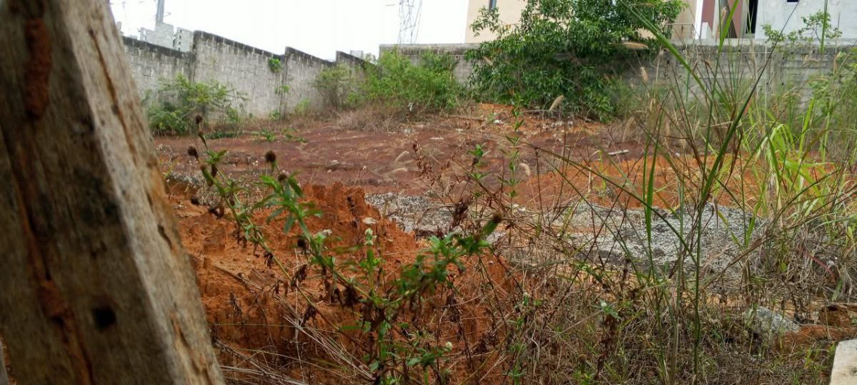 Vente de Terrain a Cocody Angré chu