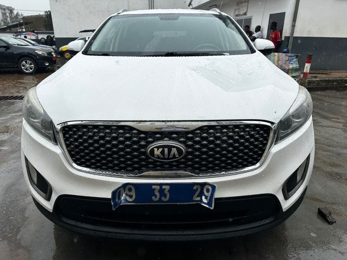 Kia Sorento année 2017 7 places