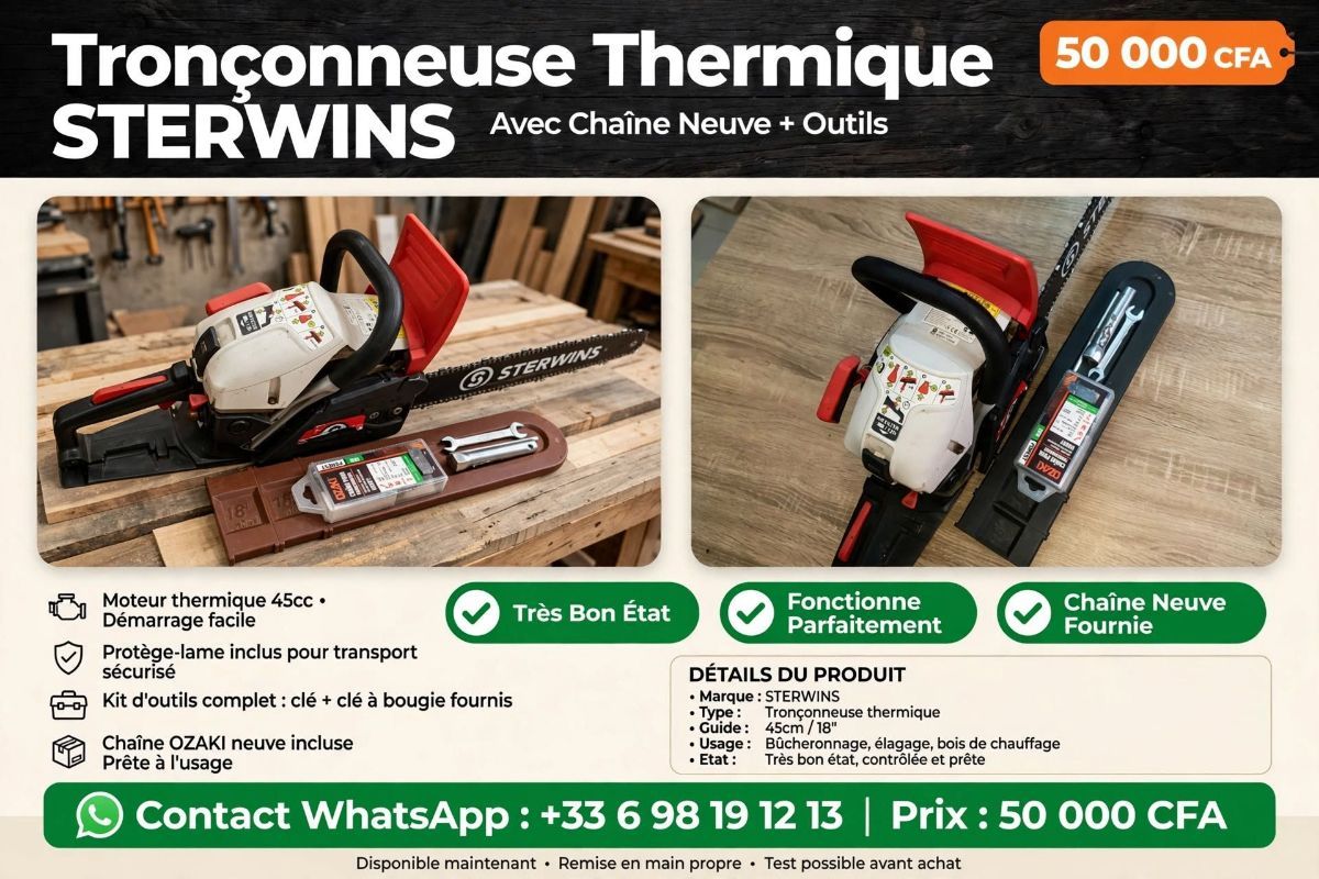 Tronçonneuse marque Sterwins