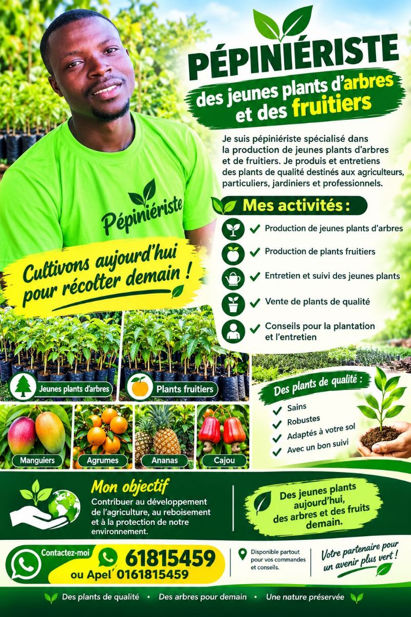 Des plans a plantule et fruitier a bon prix - photo 2
