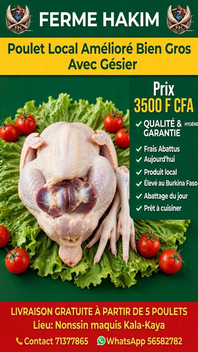 Poulets frais, prêts à être cuisinés